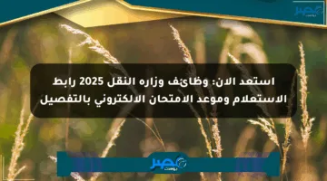 استعد الآن: وظائف وزارة النقل 2025 رابط الاستعلام وموعد الامتحان الإلكتروني بالتفصيل